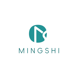 logo BAZHOU MINGSHI LIRONG FURNITURE CO. LTD.